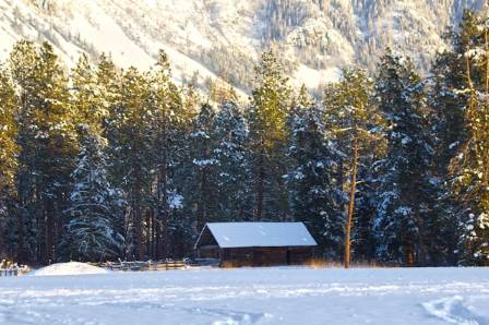 Deep Forest Cabins