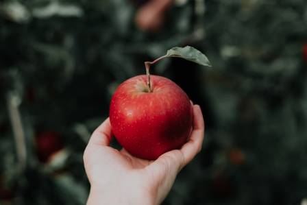 10 Remarkable Health Benefits of Apples