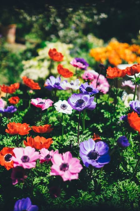 32 Creative Flower Bed Ideas to Brighten Your Garden