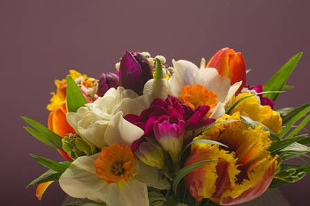 Tips for Mixed Flower Bouquet