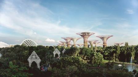 Fantastic Reasons to Visit Gardens By The Bay