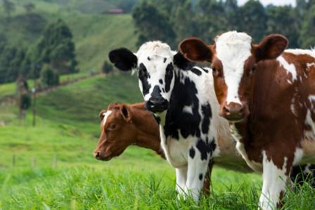 The Most Beneficial Land Managers
