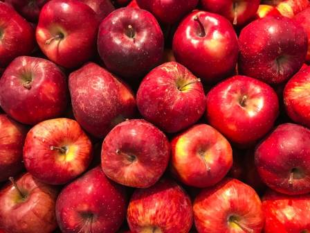 The Top 5 Health Benefits of Apples: Why "An Apple a Day" Holds True